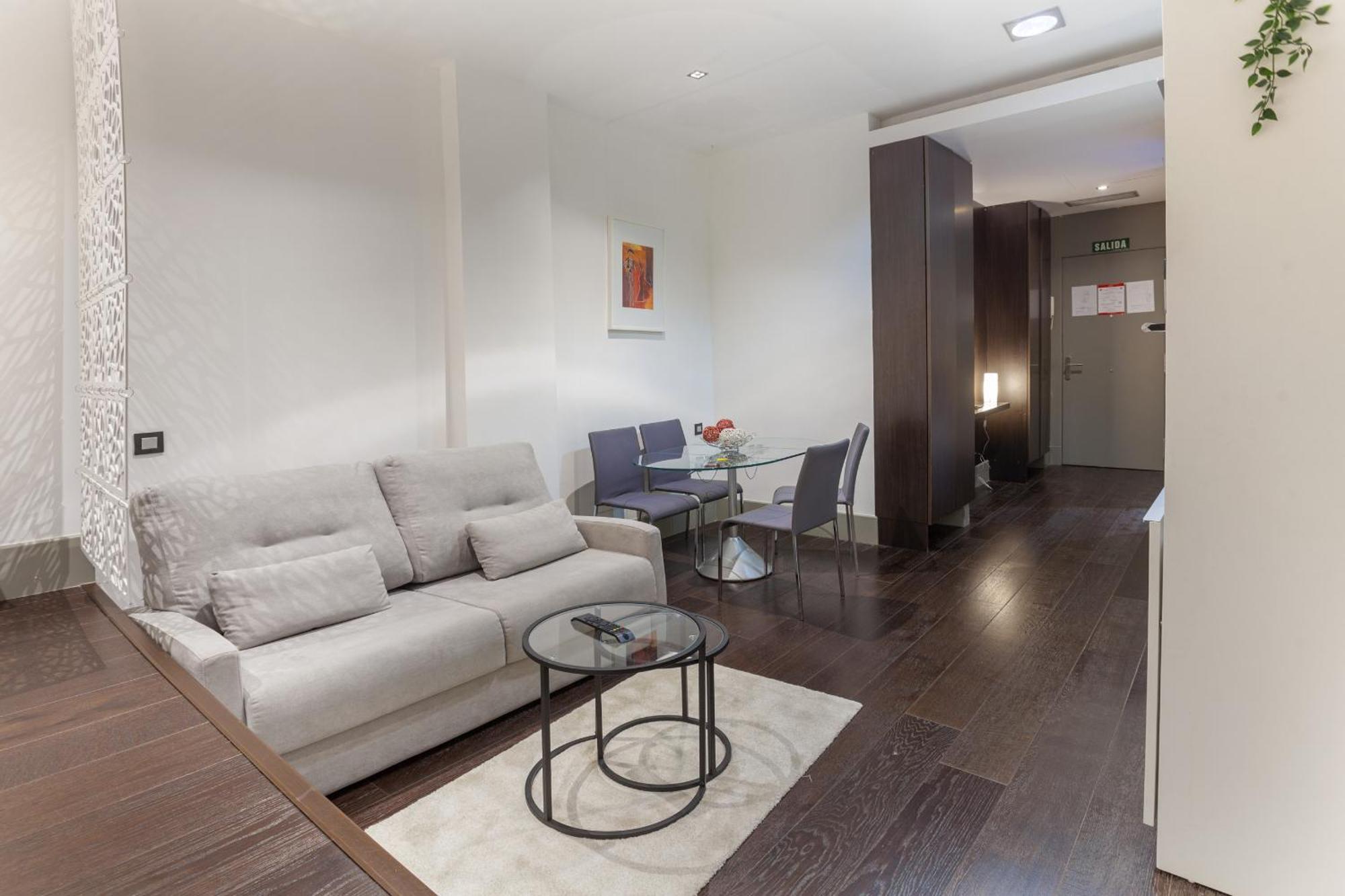 Apartamento Cibeles En Madrid
