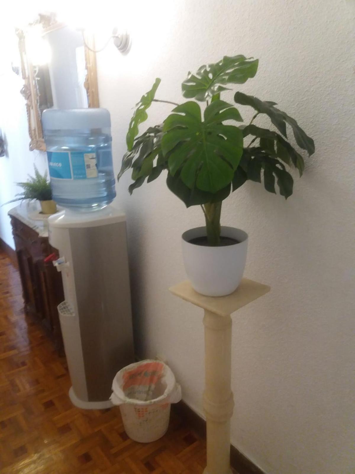 Habitación en casa particular Habitación Cookie En Chamberí Madrid