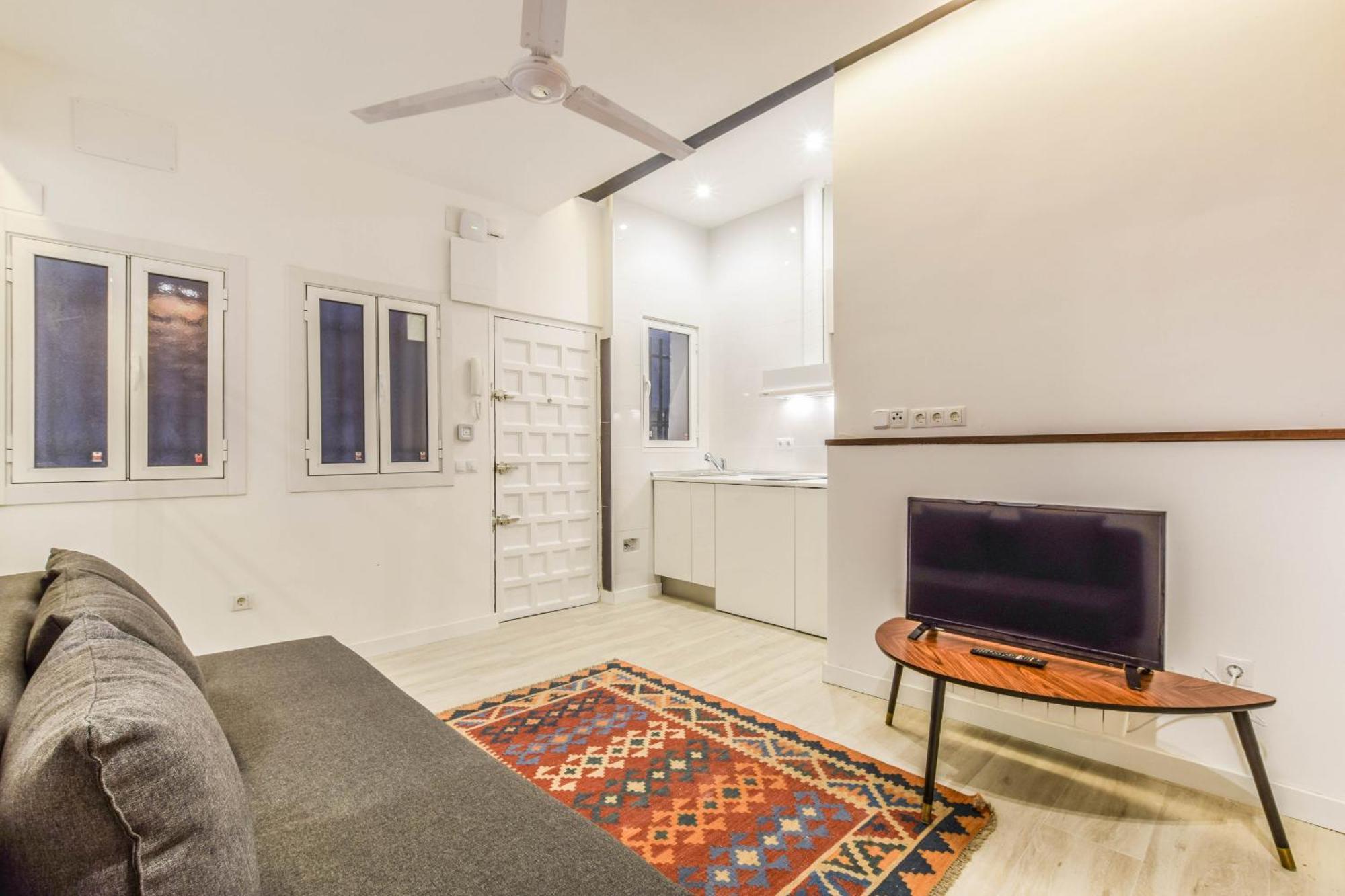 Apartamento Acogedor En Anton Martin