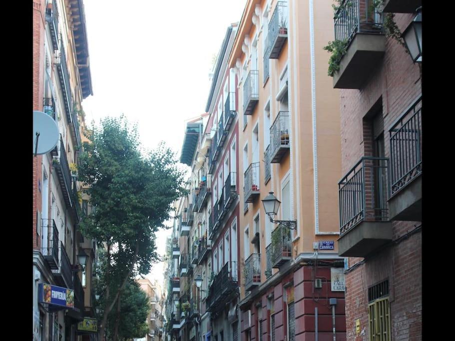 Apartamento Modern Apt 1 Bedroom In Lavapies Madrid