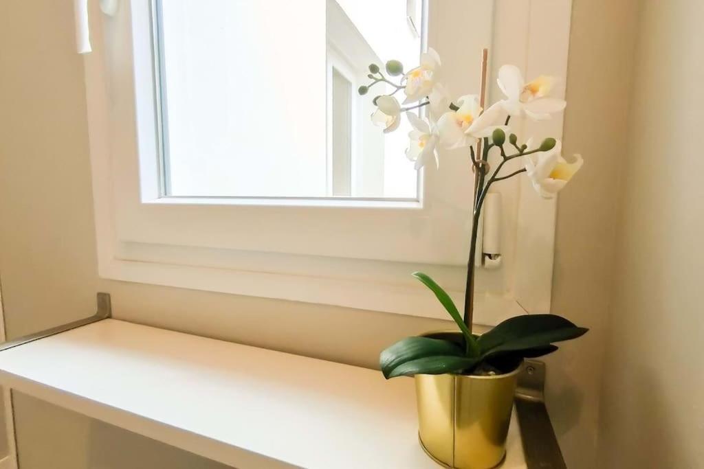Apartment Acogedora Vivienda En Centro *