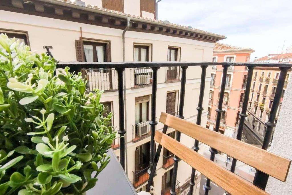 Acogedora Vivienda En Centro Madrid