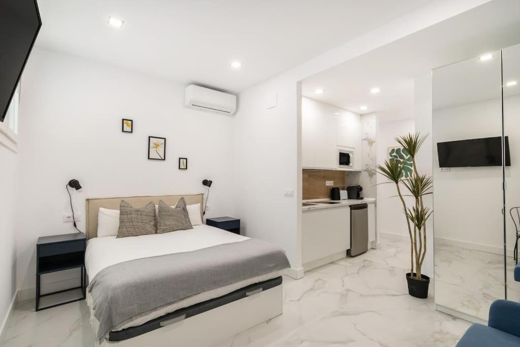 In Ley2 Apartamento Madrid