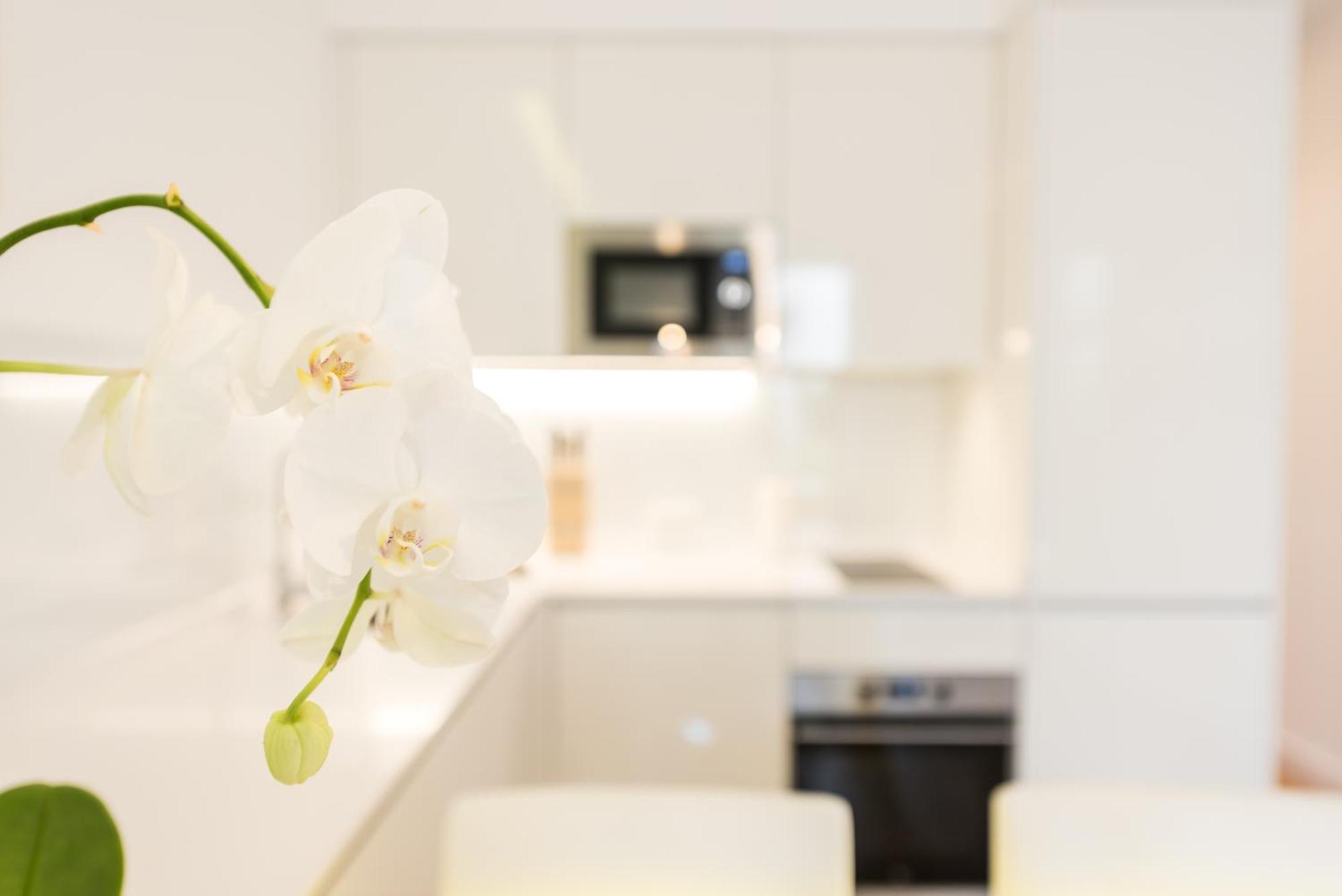 Malasaña Plaza By Madflats Collection Apartamento Madrid