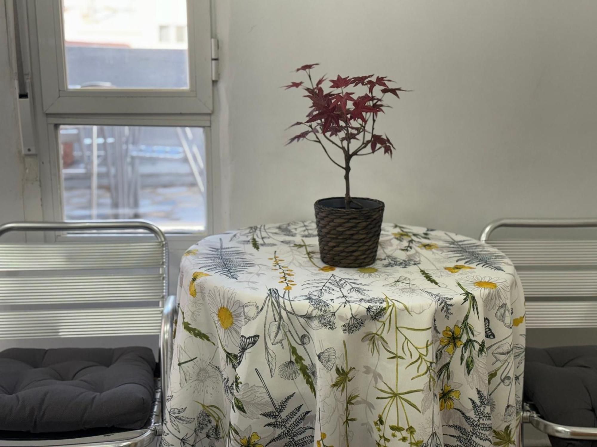 Apartamento Con Terraza Cerca Al Aeropuerto Apartamento