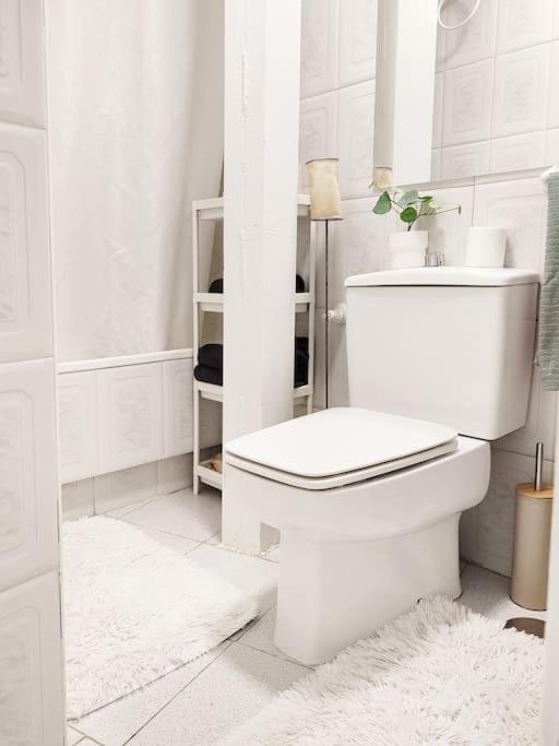 Apartamento Bonito Y Acogedor Estudio En Zona Cultural