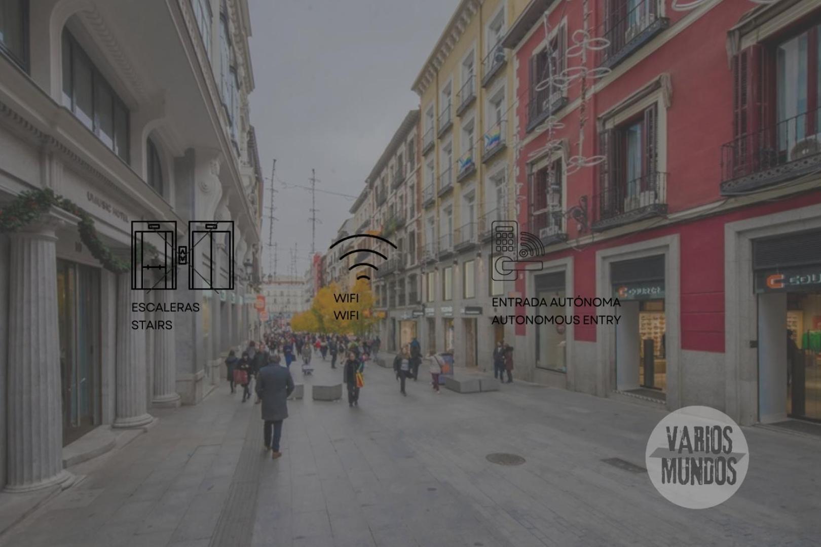 Fashion Design Loft En Calle Carretas-sol 4pax Apartamento Madrid
