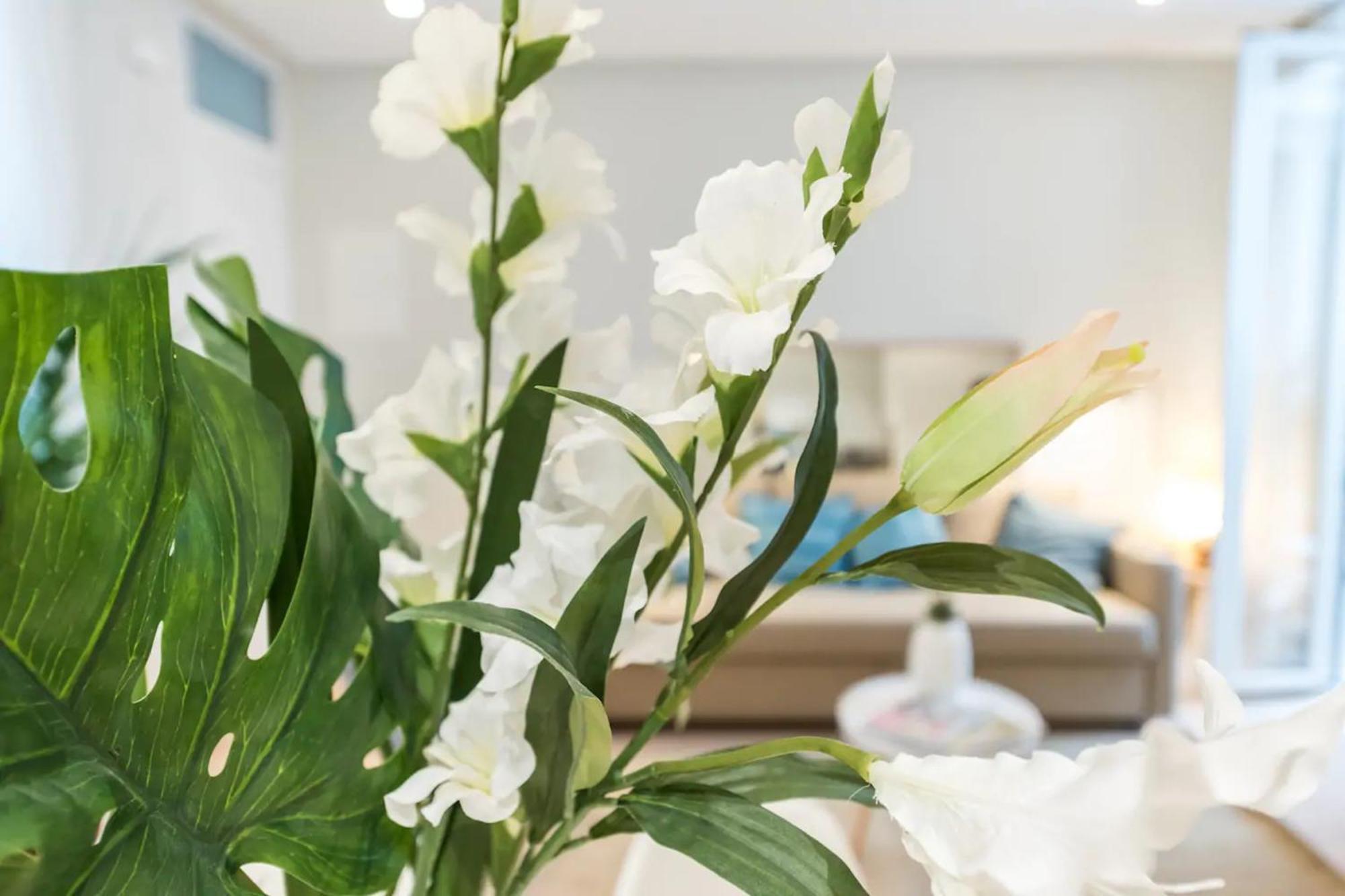Apartamento Calle De Belén *
