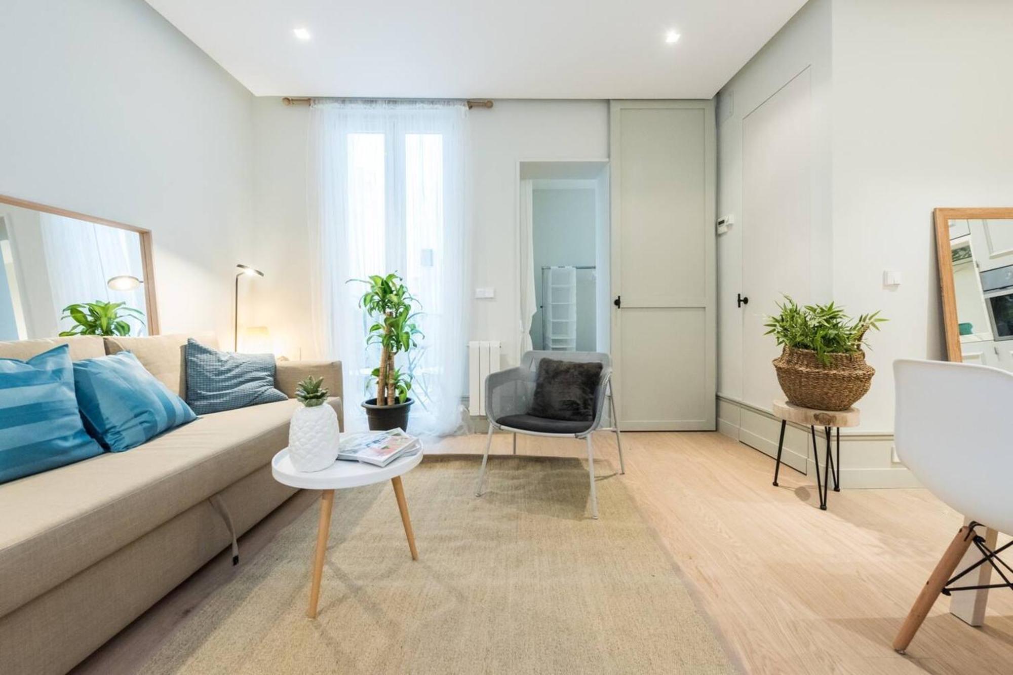 Apartamento Calle De Belén *