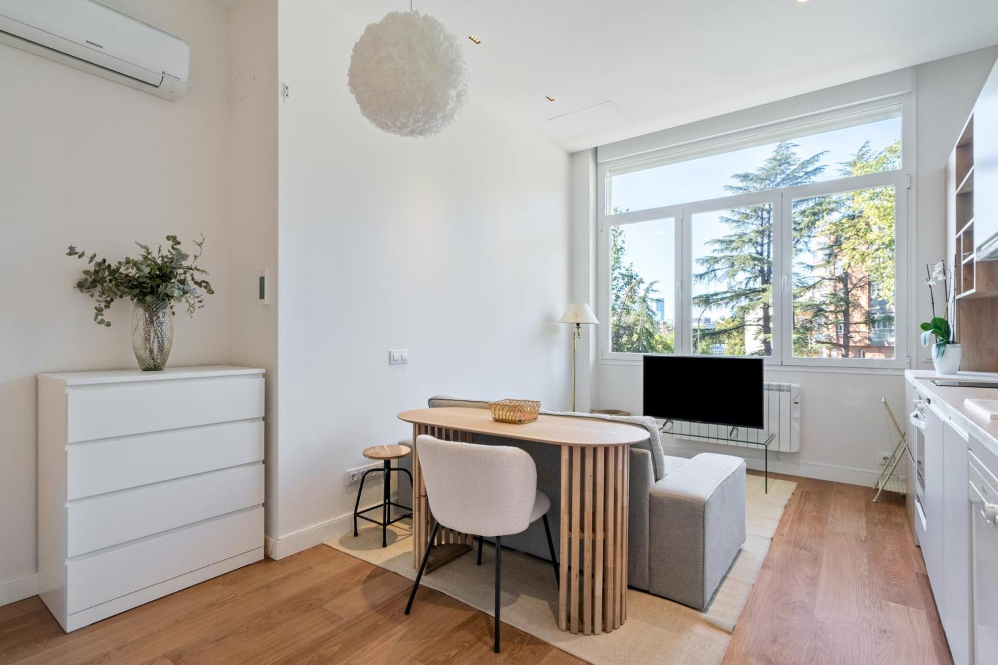 Apartamento Encantador Estudio Chamartin *