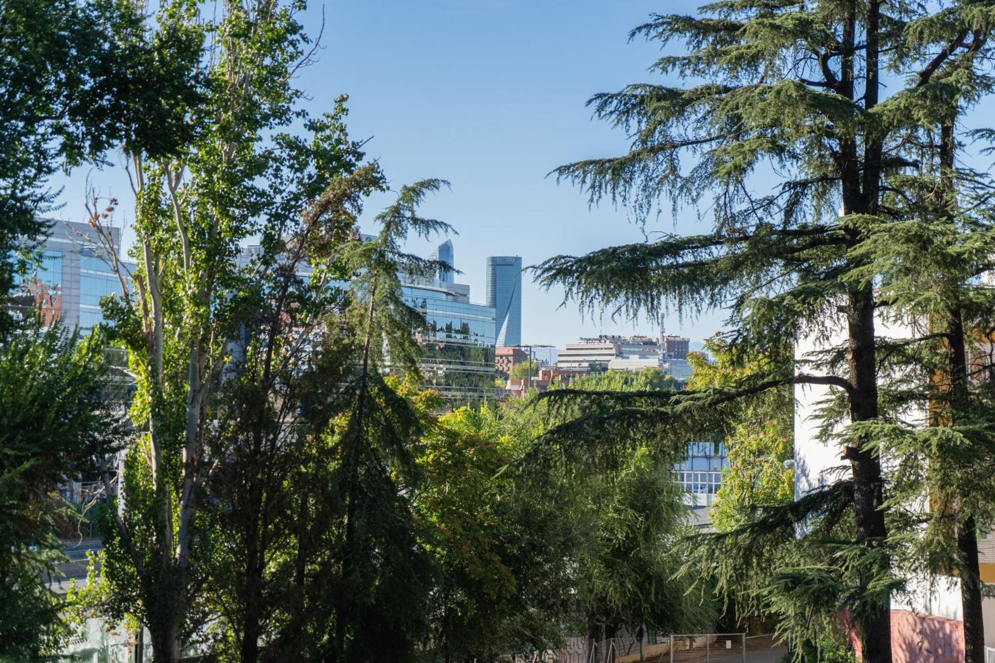 Apartamento Encantador Estudio Chamartin *