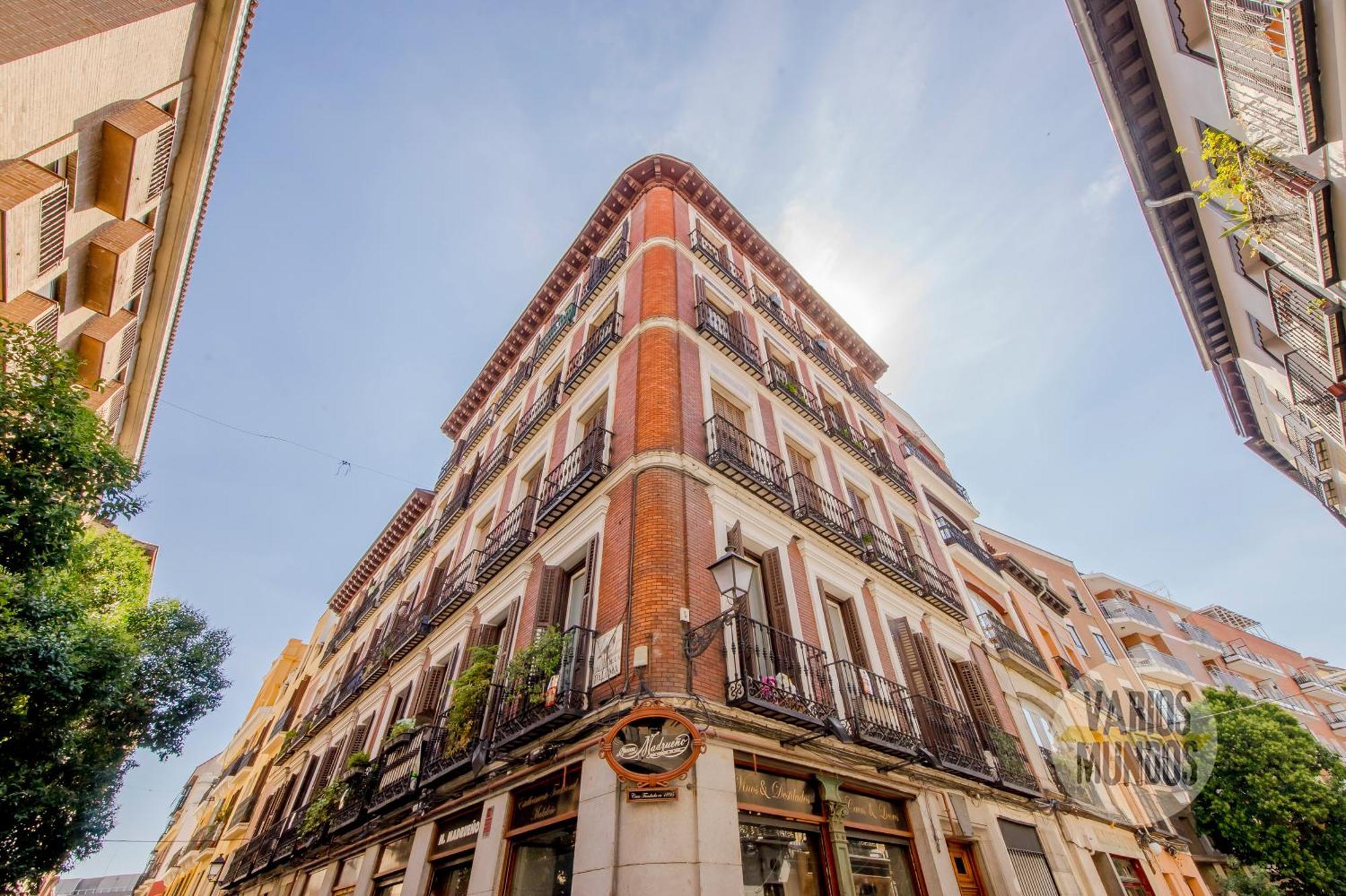 Apartamento New Bajo Duplex En La Latina-centro De E2 Madrid