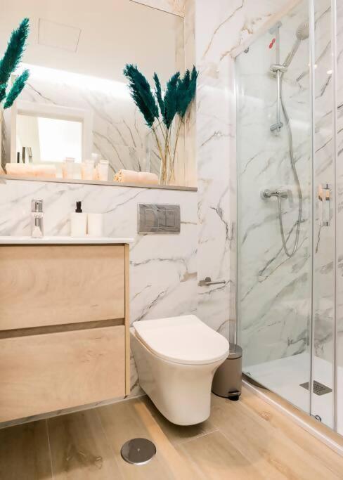 Apartamento Plaza Cibeles Gran Viacolon