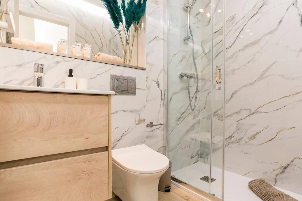 Apartamento Plaza Cibeles Gran Viacolon *