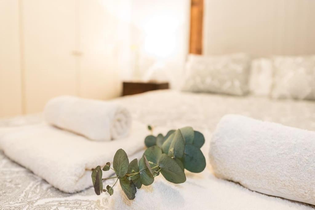 Your Cozy Nest Plaza Mayor - Sol - Rastro - Wifi - Almendro Apartamento Madrid