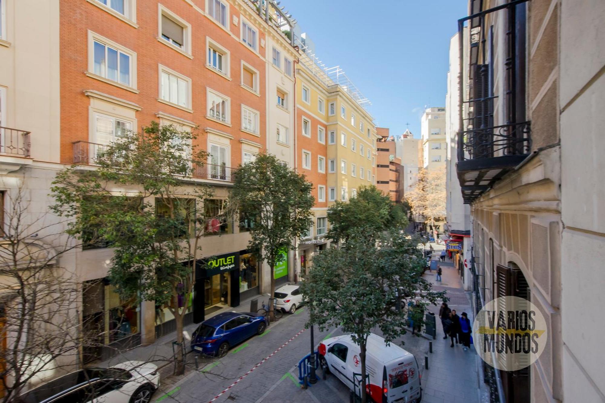 Apartamento Wonderful 7 En Preciados-plaza Del Carmen E2 Madrid