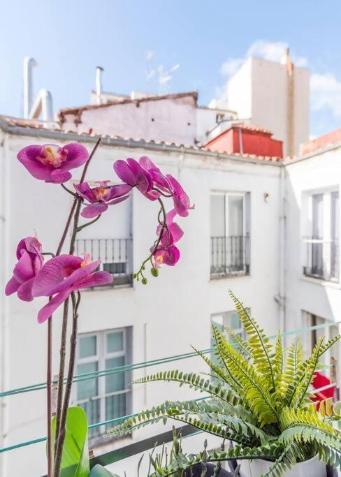 Cozy Cueca Cibeles Pta De Sol Gran Via Apartamento *