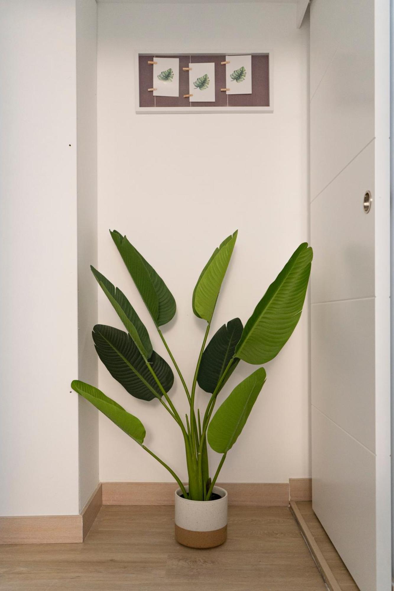 Apartamento Oshun Mirasierra Madrid