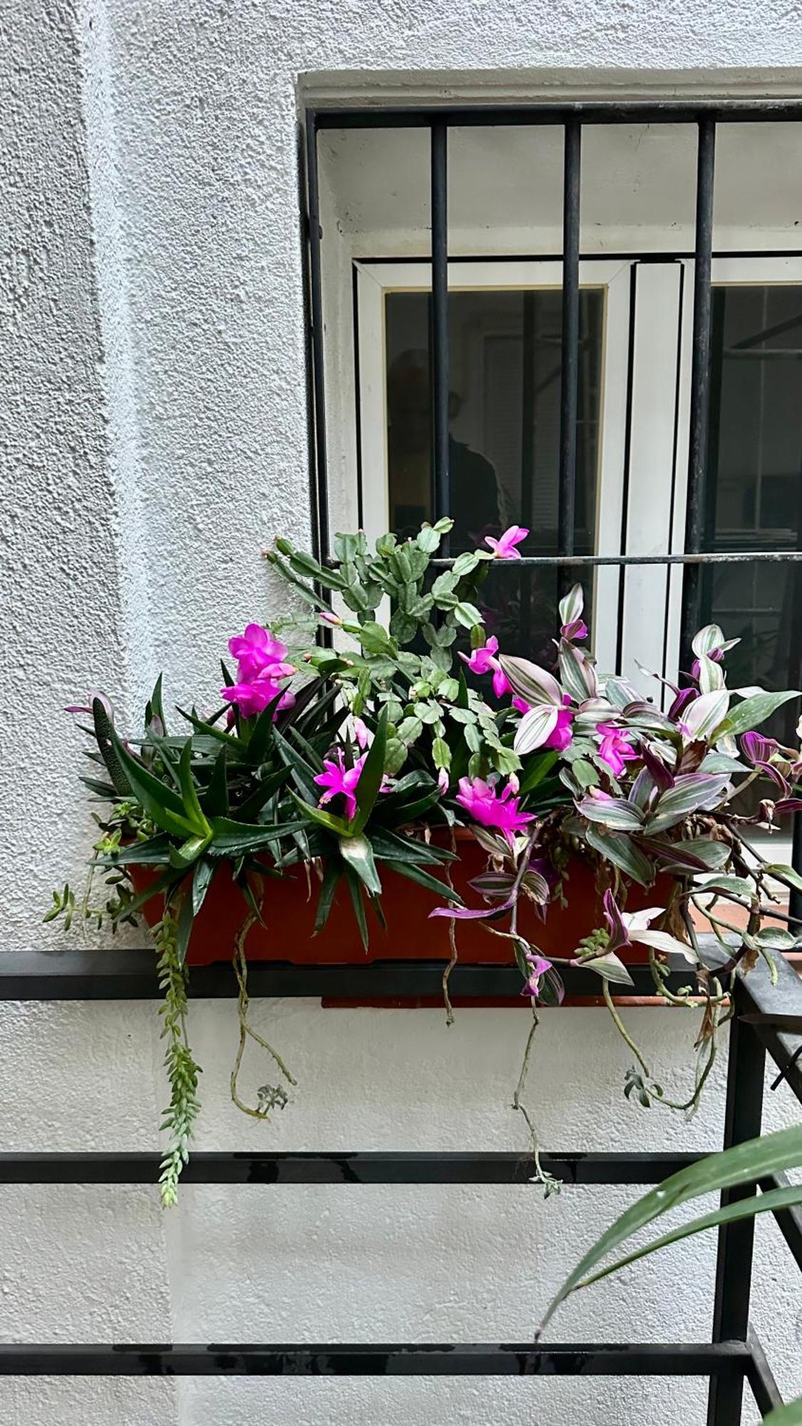 Apartamento Flamencos, Malasaña