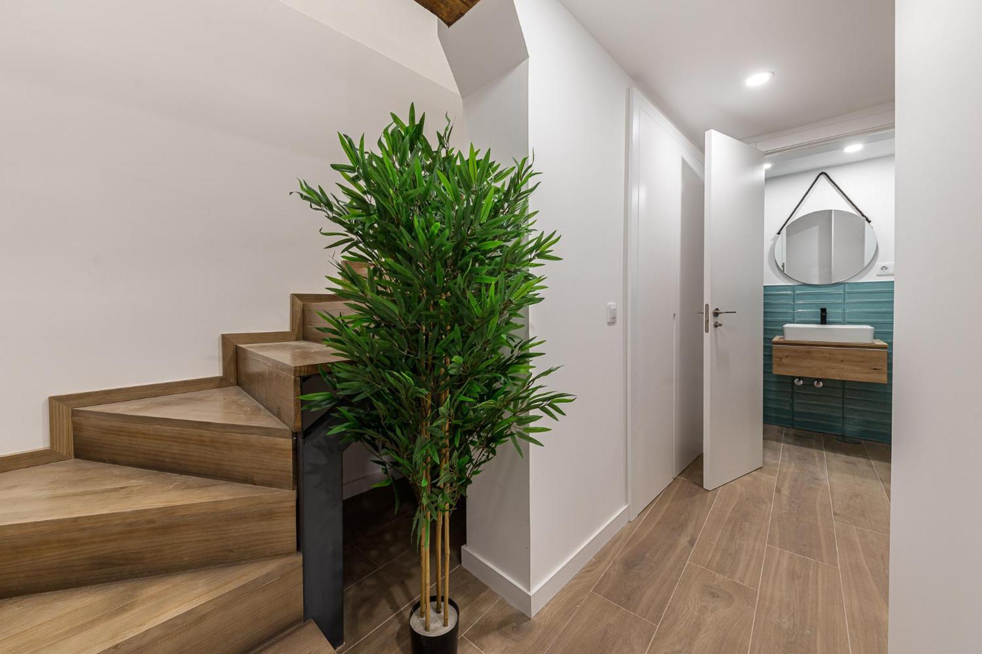 Galileo Coco Apartamento