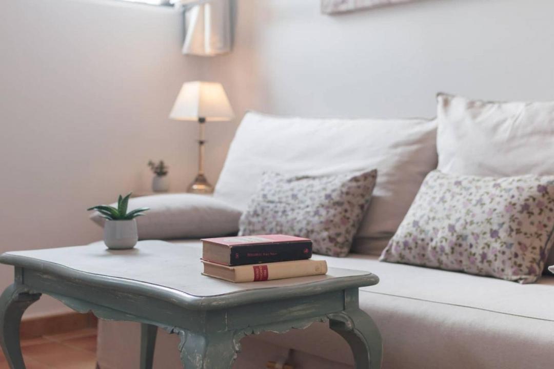 Cozy One-bedroom Penthhouse La Latina * Madrid