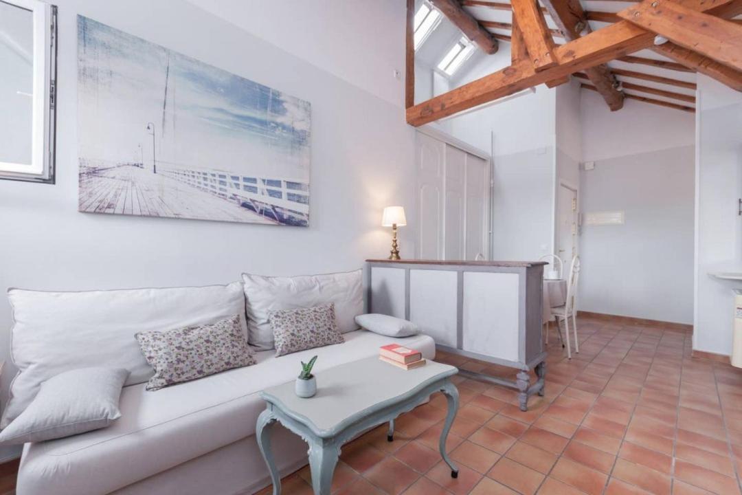 Cozy One-bedroom Penthhouse La Latina Apartamento Madrid