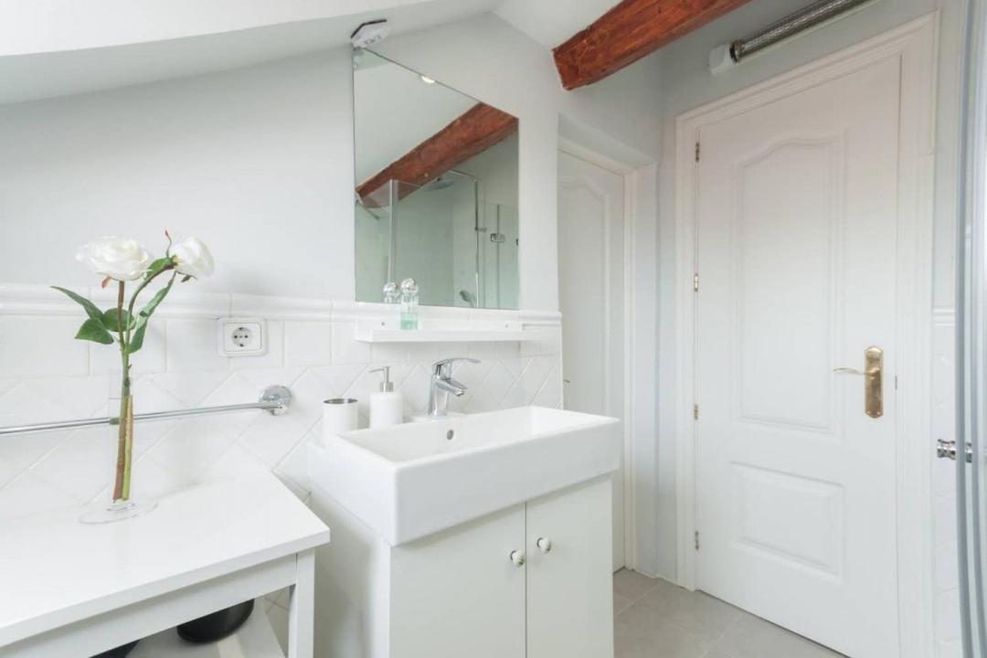 Cozy One-bedroom Penthhouse La Latina