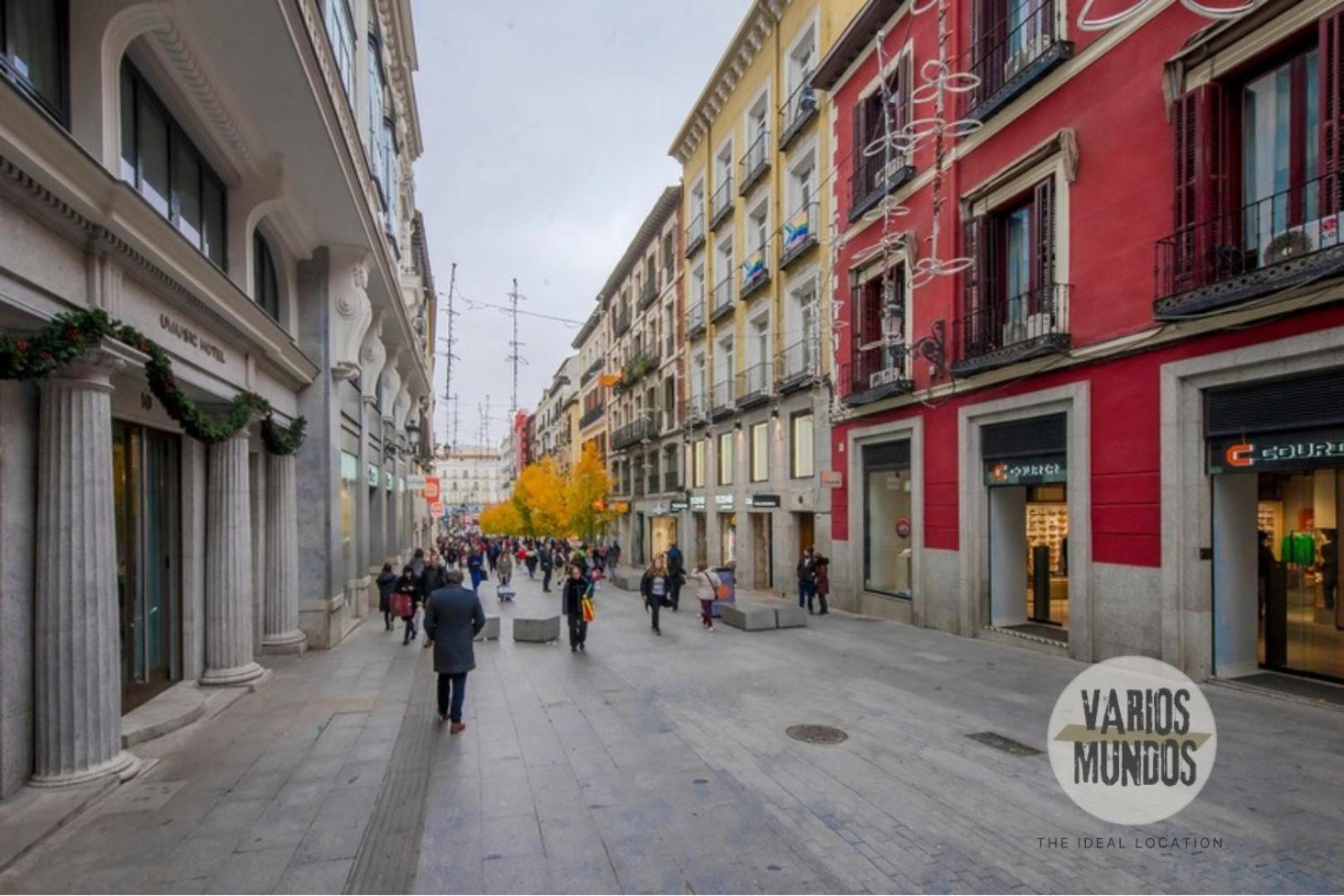 Apartamento Fashion Design Loft En Calle Carretas-sol 4pax