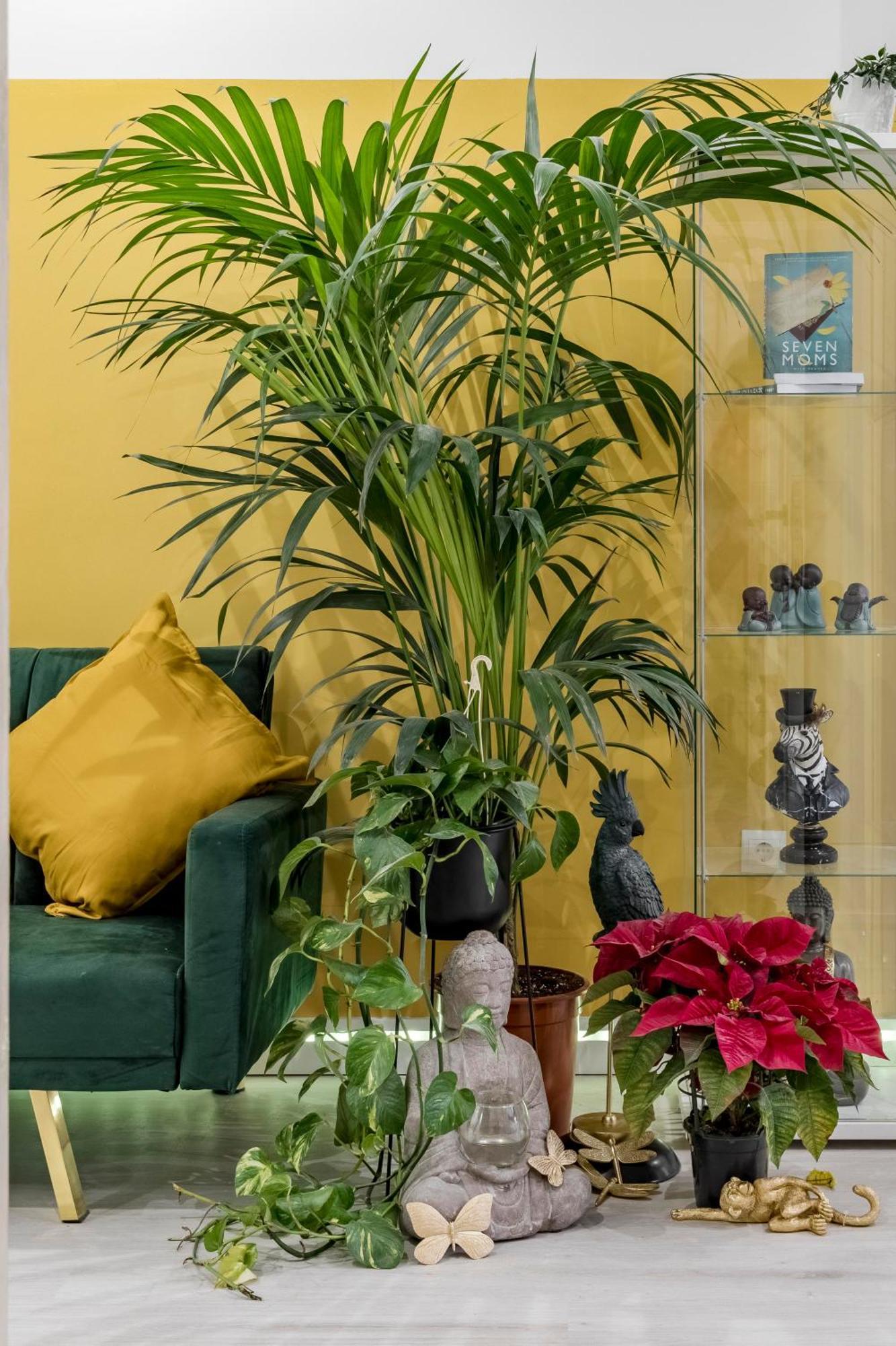 Casa Sana Corazon - Barrio Salamanca Apartamento