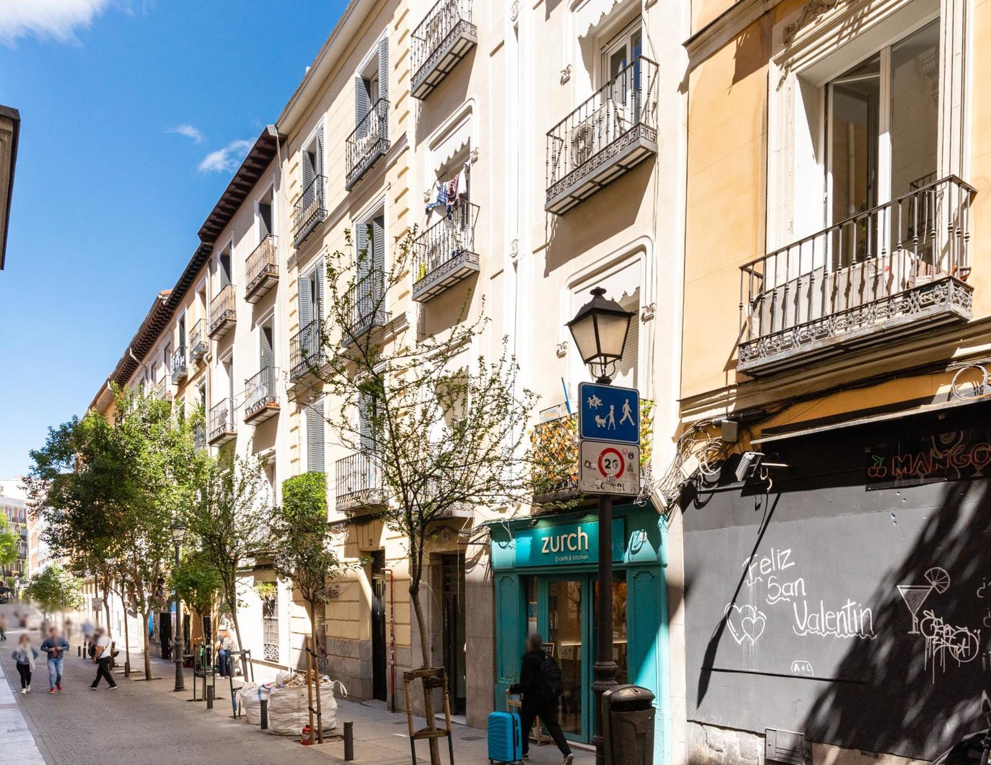 Cozy Aparrtament-1bedroom 1bathroom-malasana Madrid
