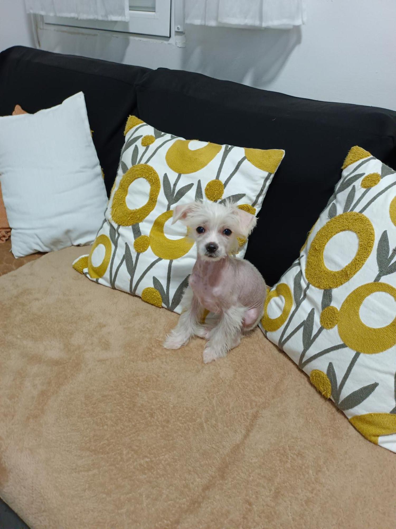 Casa De Ciss Homestay Madrid