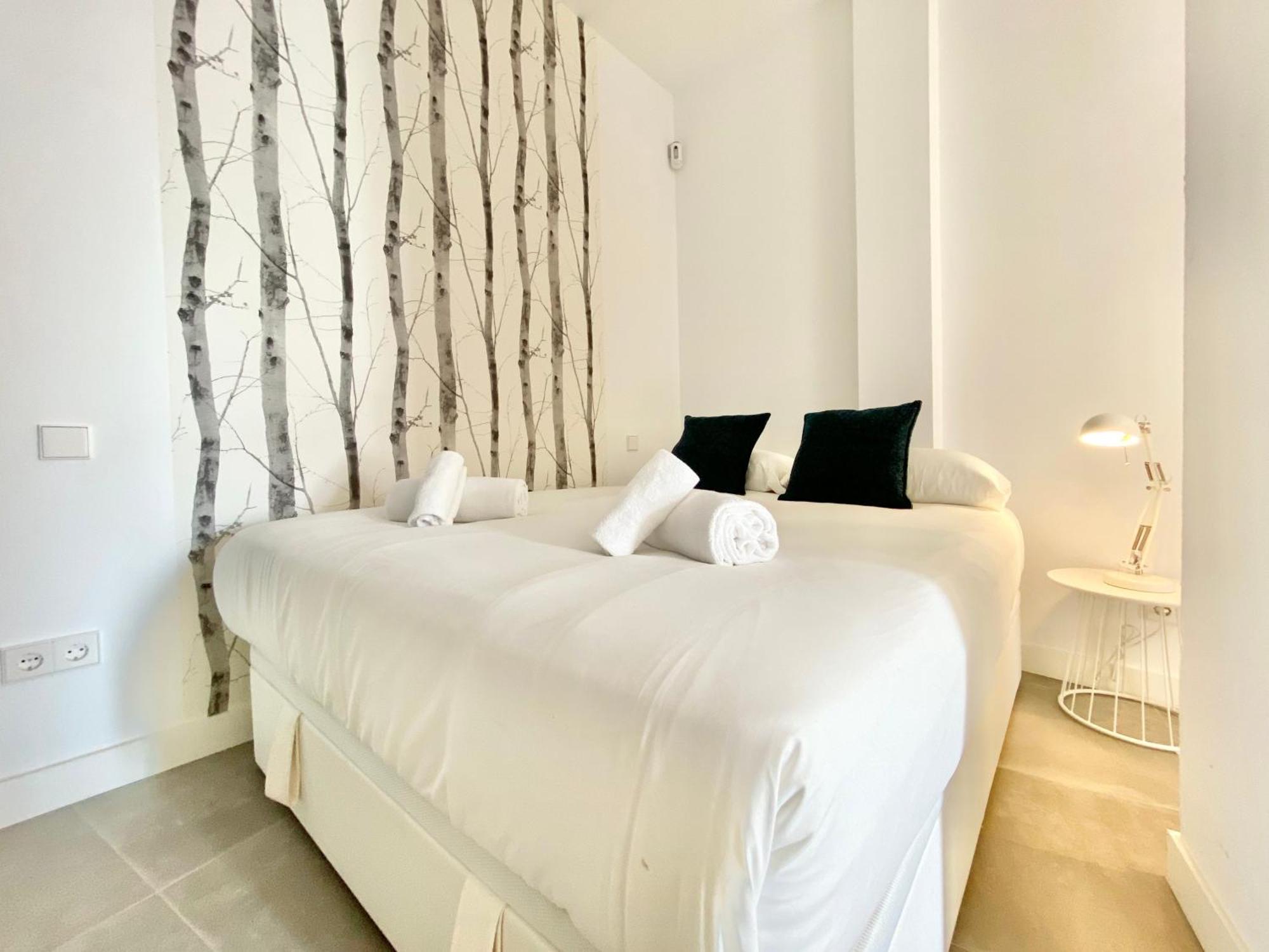 Charming Urban La Latina Apartment