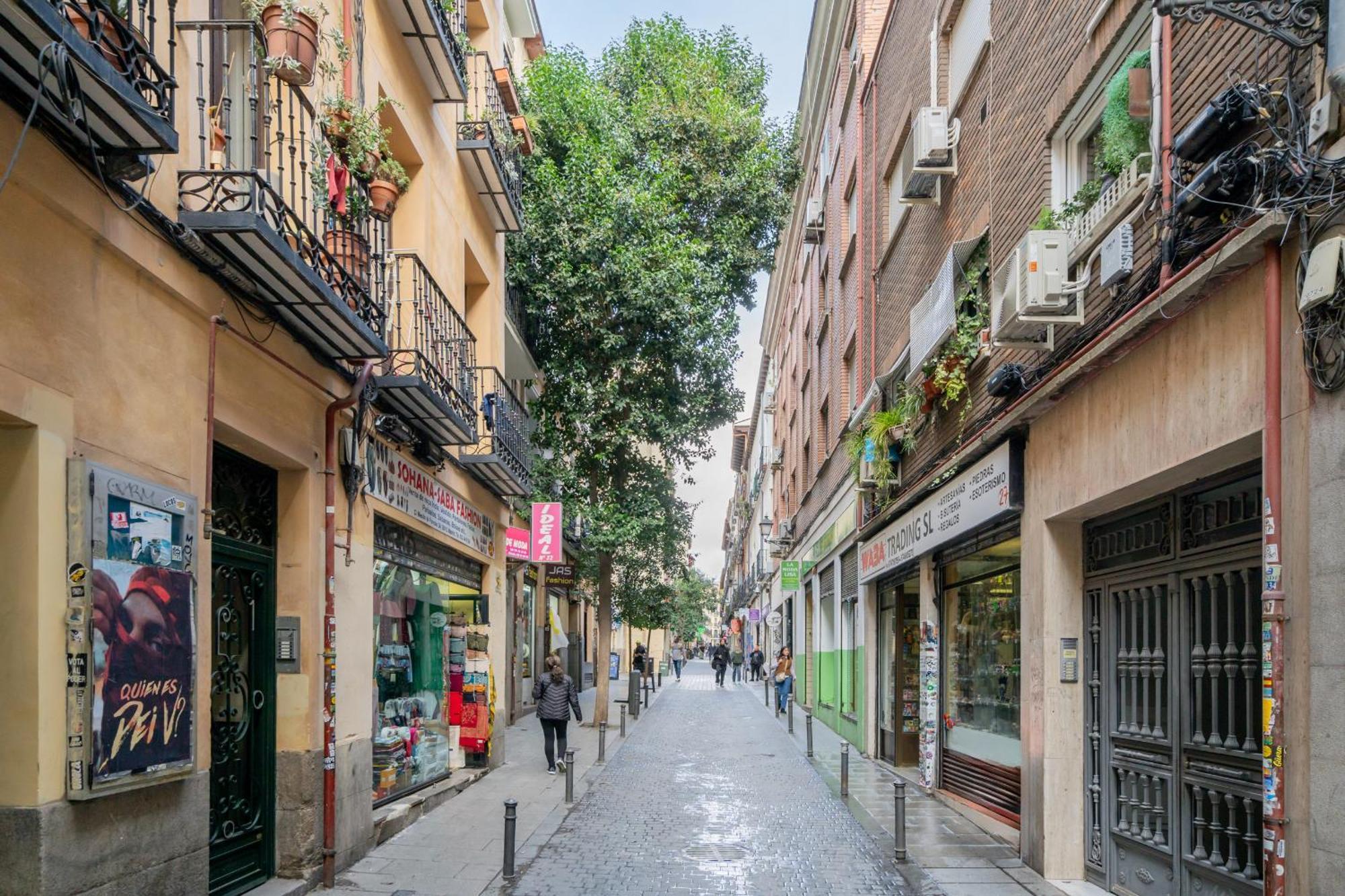 Apartment Grande En Lavapies