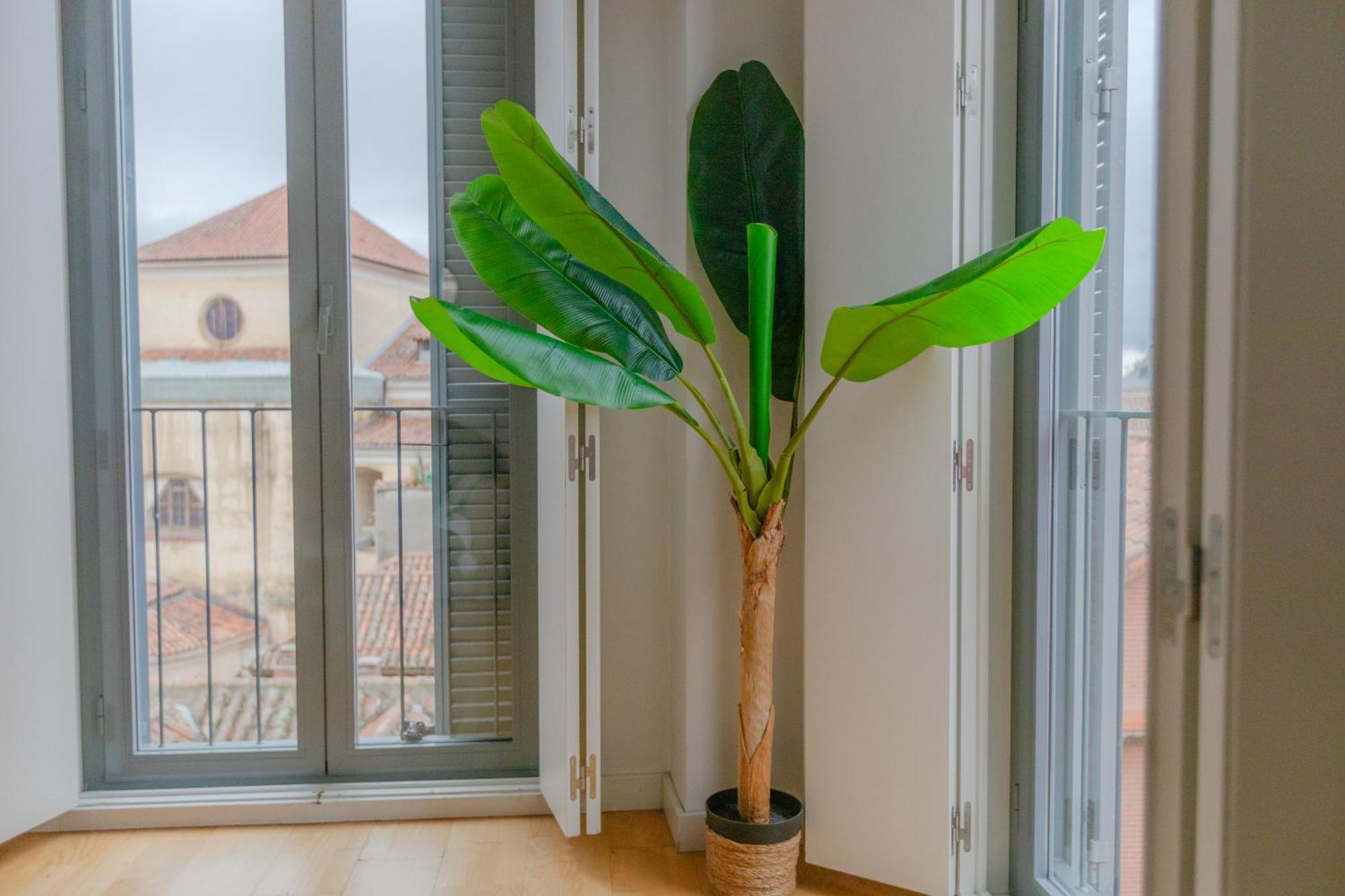 Cozy Modern In Apartamento