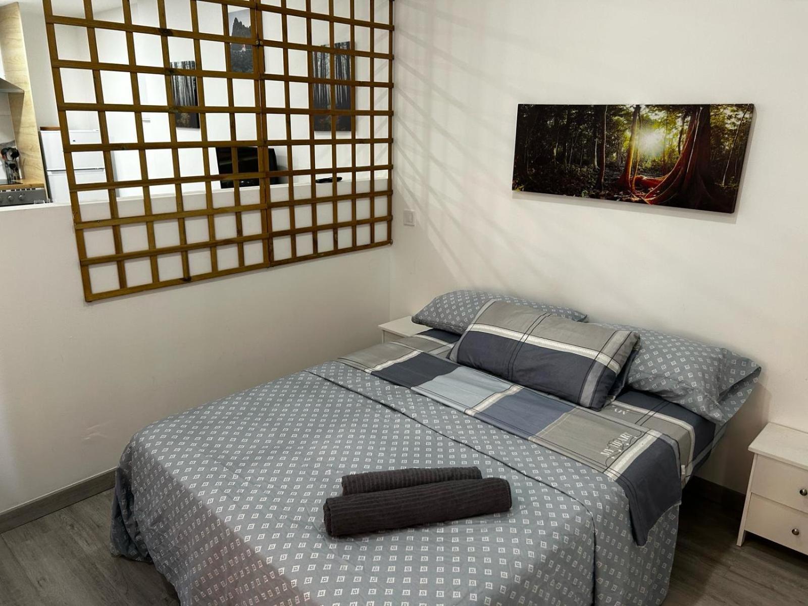 Estudio Con Bano Privado En El Centro De Apartamento Madrid