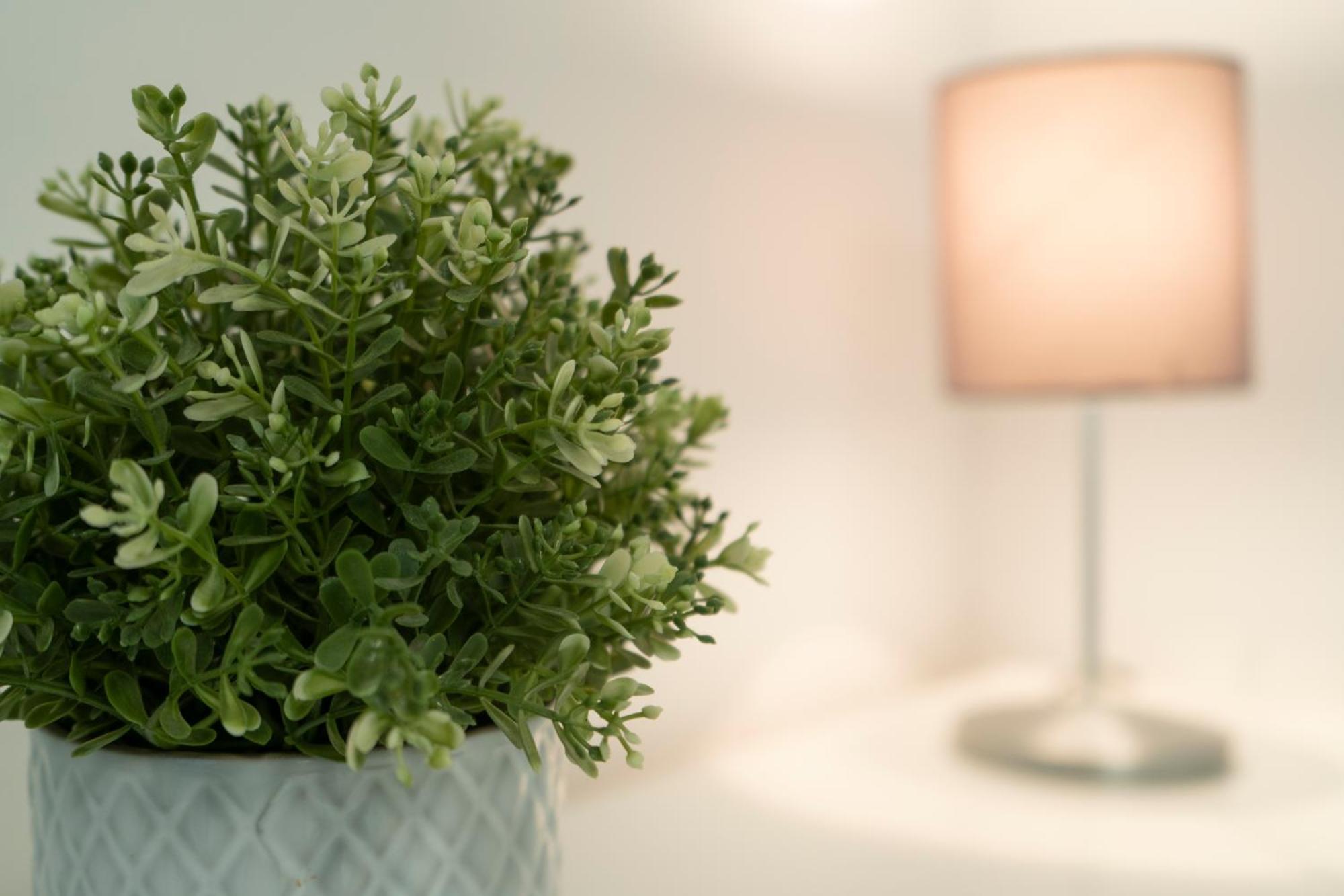 Naffah Apartamento Madrid