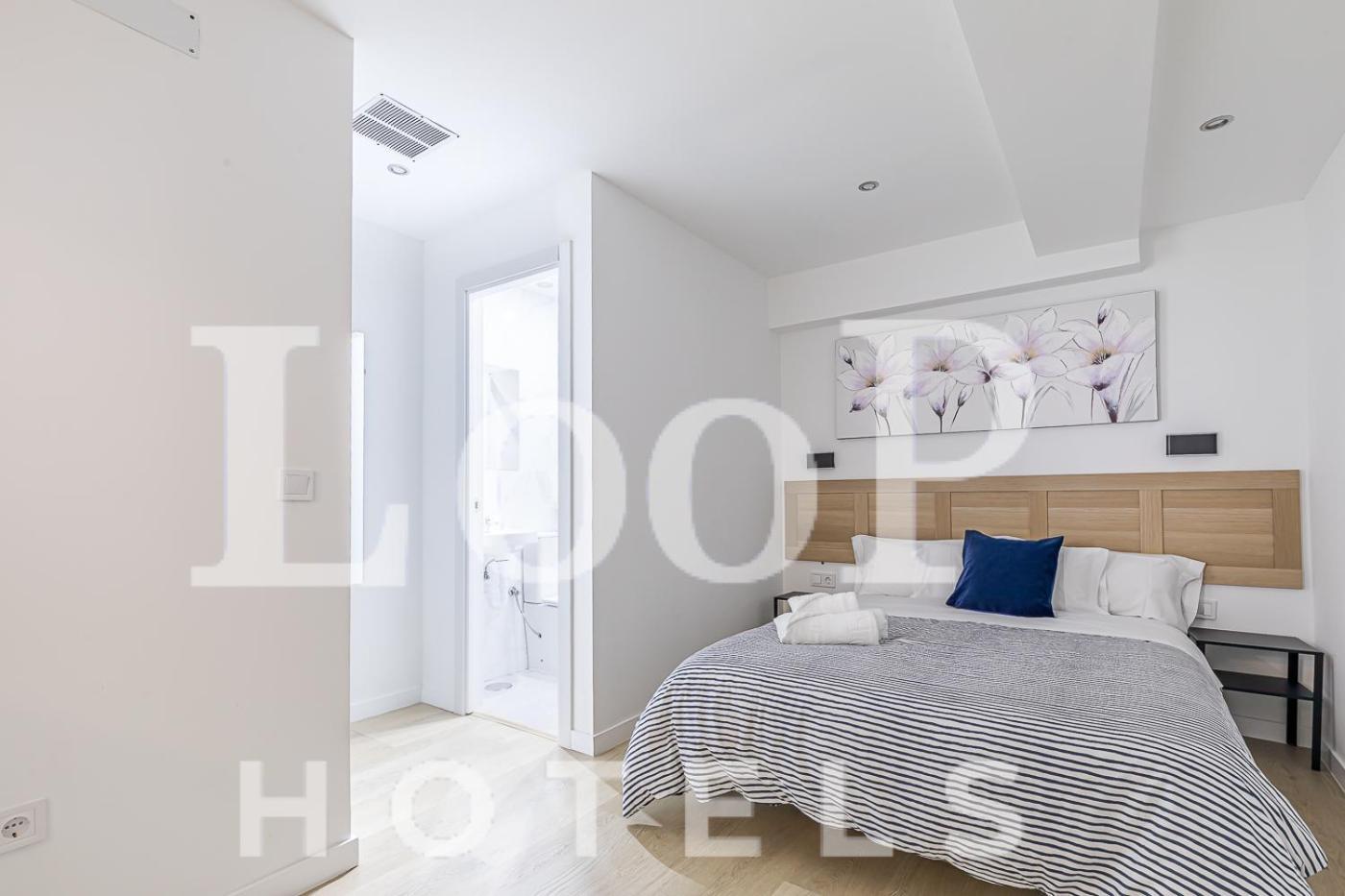 Loop Alcala Guest house Madrid