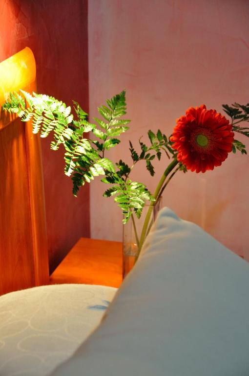 Hostal Far Plaza Mayor