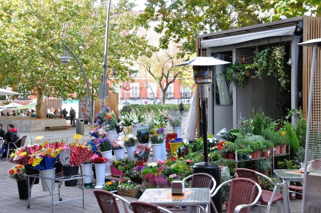 Far Plaza Mayor Hostal