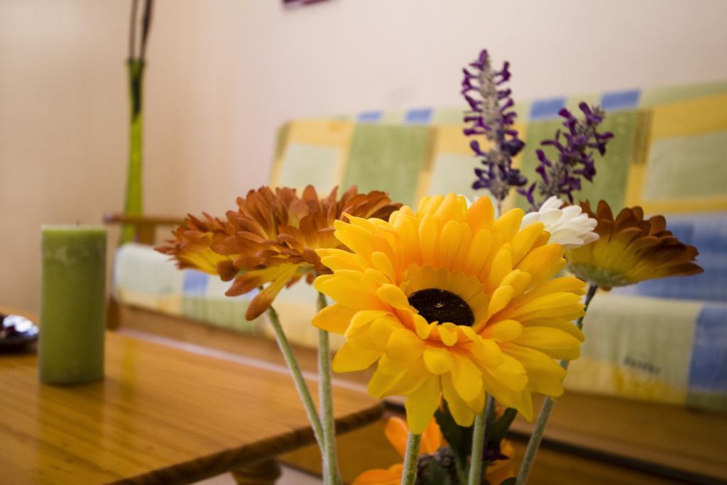 Apartamento Dana