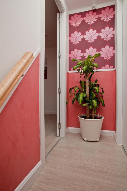 Hostal Inn Madrid Guest house Madrid