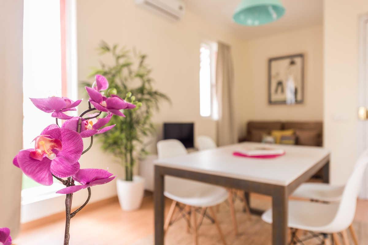 - Alcala 99 Apartamento