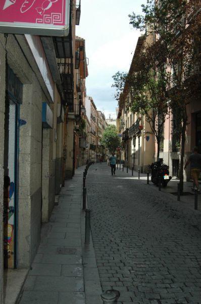 Latina Madrid