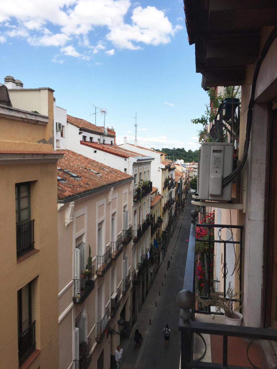 Amor De Dios * Madrid