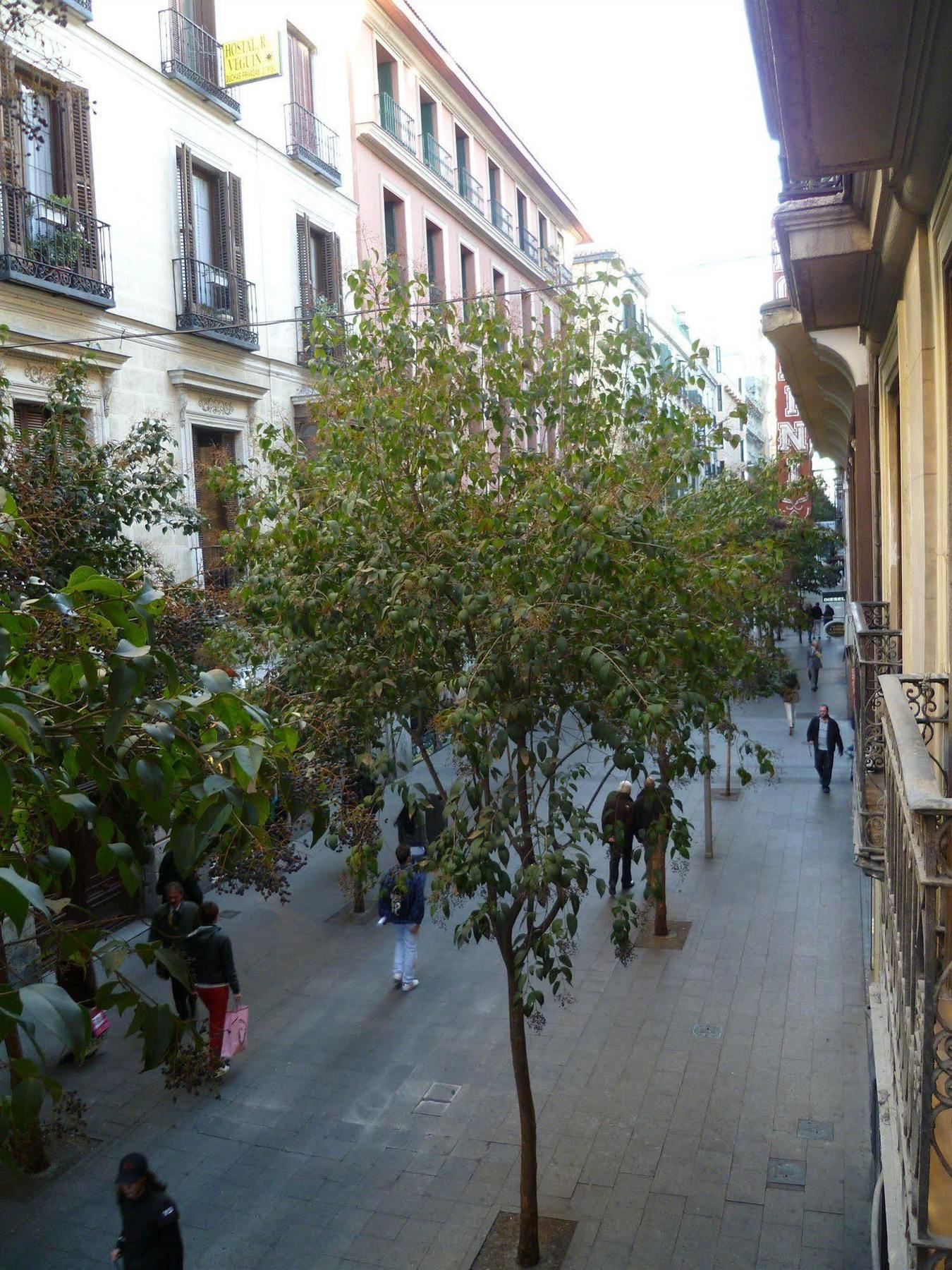 Estudios Village Chueca * Madrid
