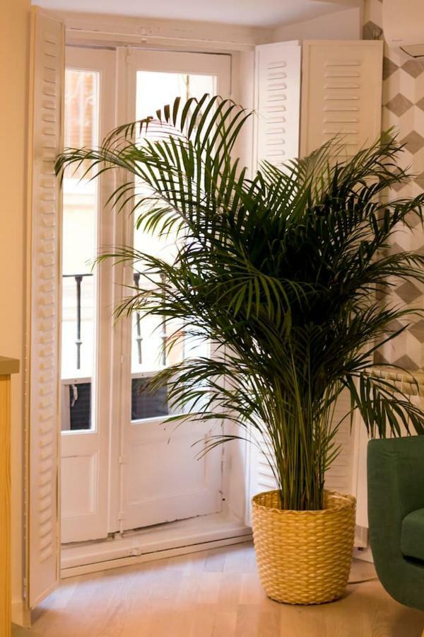 Apartamento Espectacular Y De Diseño En La Latina * Madrid