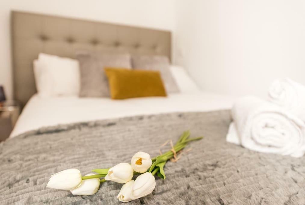 Apartamento Jorge Juan Madrid