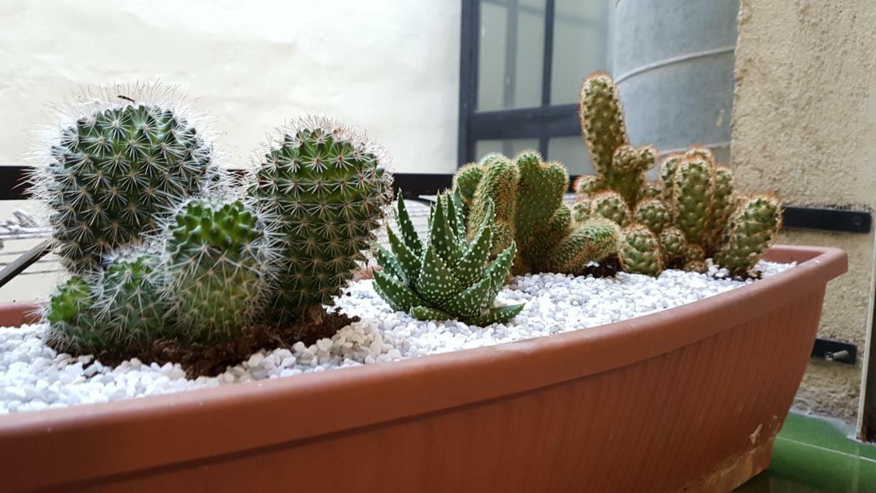 Apartamento Meson De Paredes