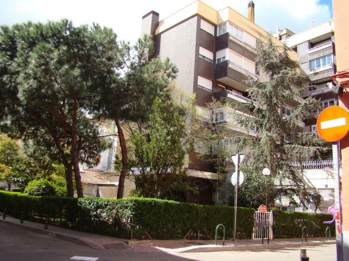 Roble Madrid