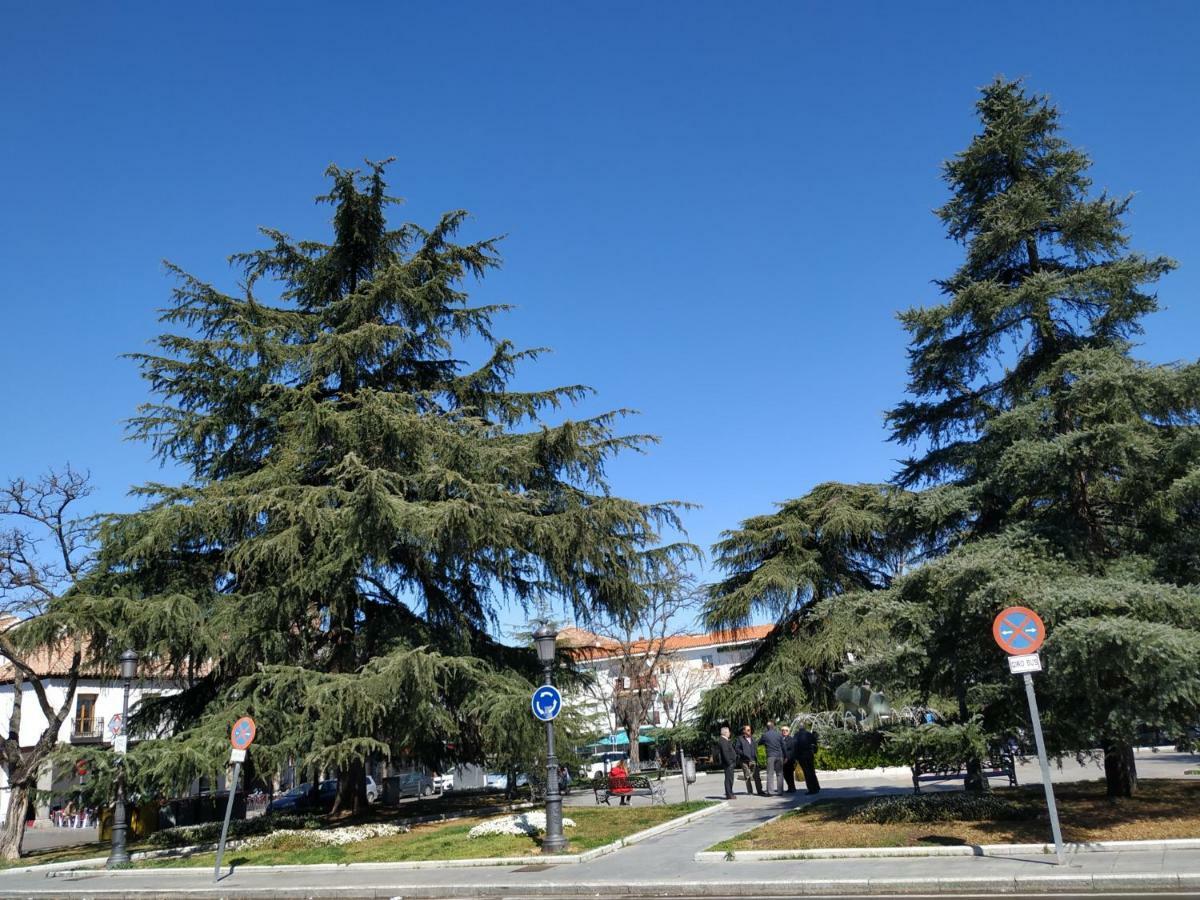Apartamento Deluxe Barajas Madrid
